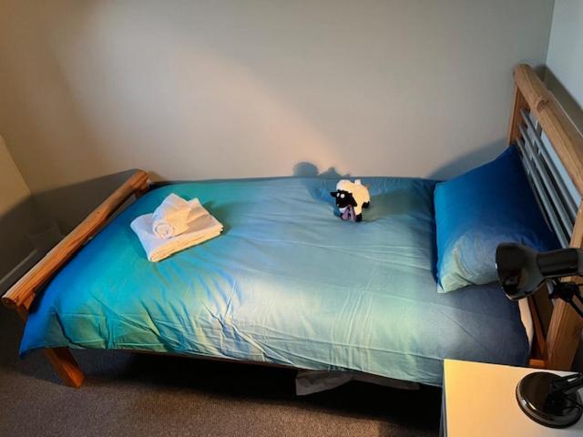 Hébergement de vacances Norwich Holiday Home NWI